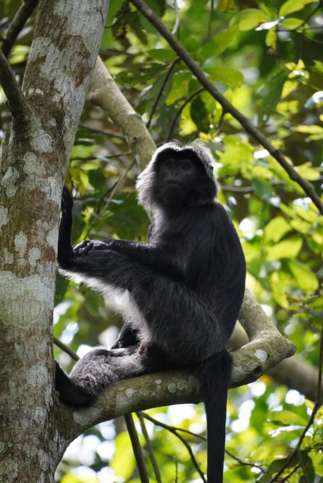 Tetebatu Indah Homestay エクステリア 写真