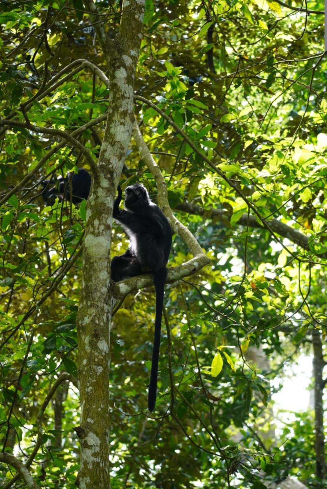 Tetebatu Indah Homestay エクステリア 写真