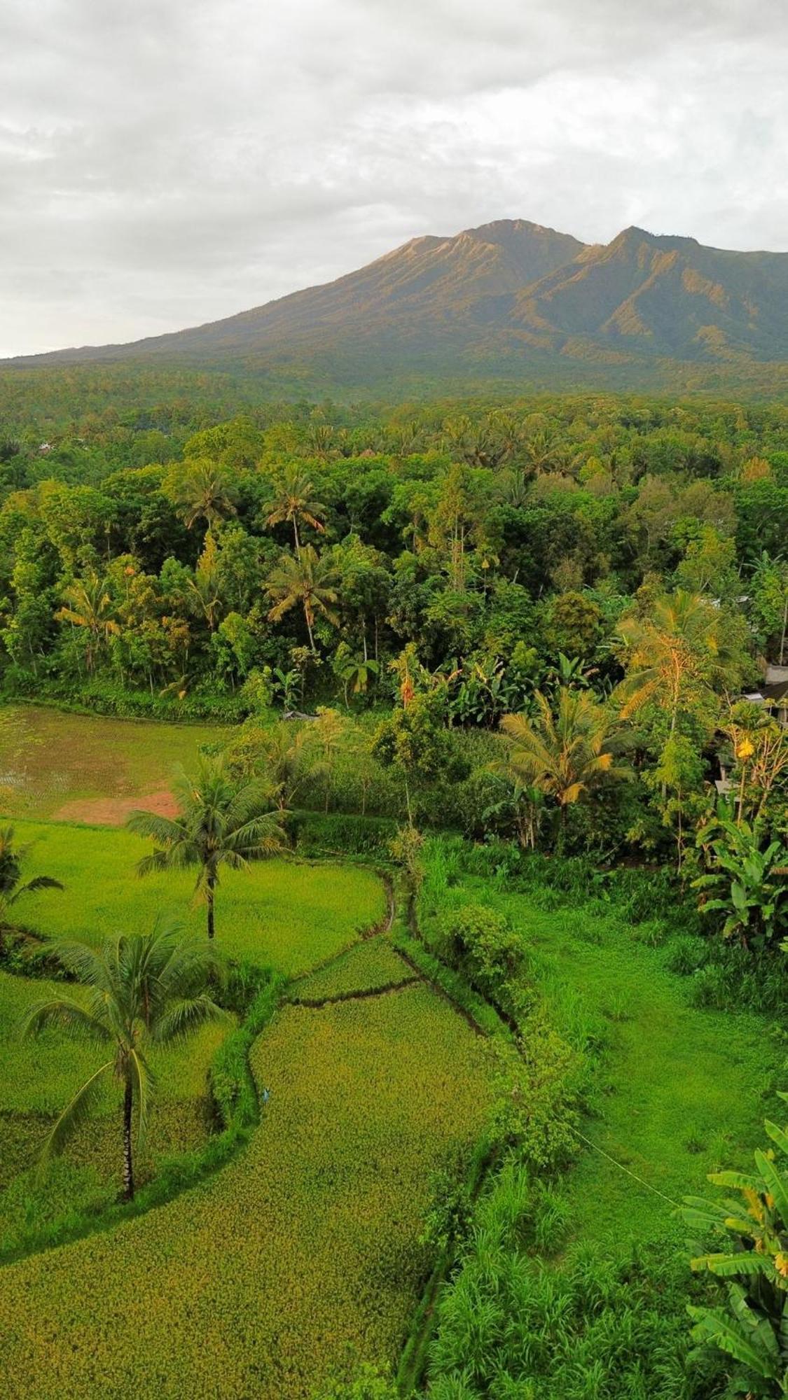 Tetebatu Indah Homestay エクステリア 写真