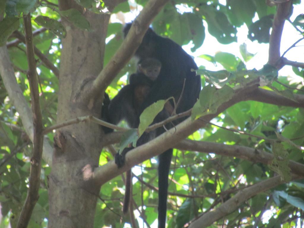 Tetebatu Indah Homestay エクステリア 写真