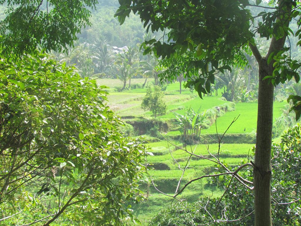 Tetebatu Indah Homestay エクステリア 写真