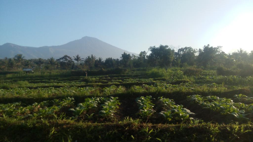 Tetebatu Indah Homestay エクステリア 写真