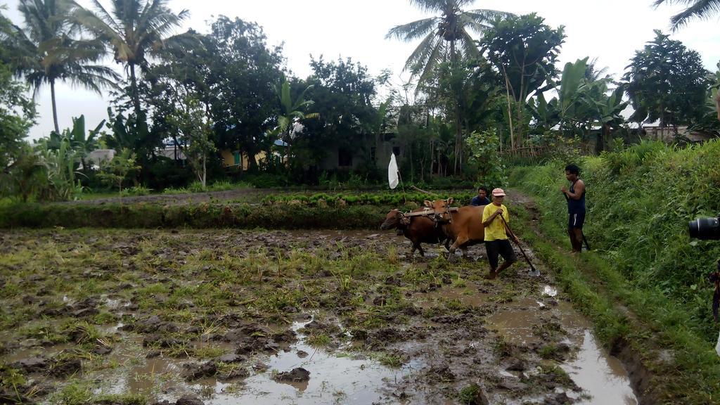 Tetebatu Indah Homestay エクステリア 写真