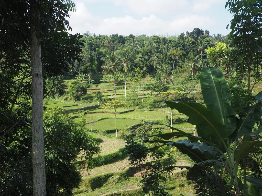 Tetebatu Indah Homestay エクステリア 写真