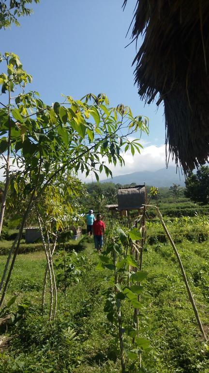 Tetebatu Indah Homestay エクステリア 写真