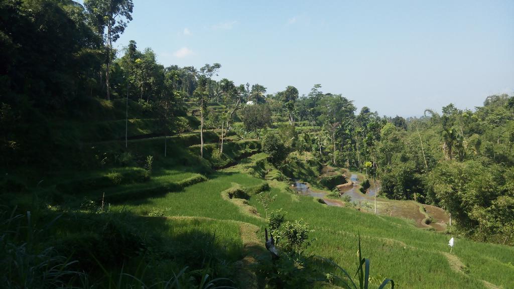 Tetebatu Indah Homestay エクステリア 写真