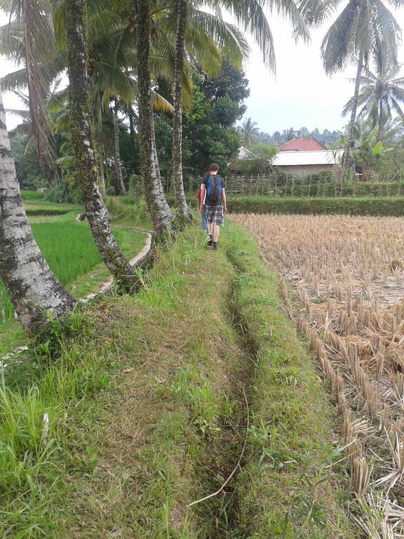 Tetebatu Indah Homestay エクステリア 写真